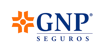 GNP